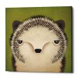 Baby Hedgehog  by Ryan Fowler, Canvas Wall Art Supply