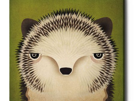 Baby Hedgehog  by Ryan Fowler, Canvas Wall Art Supply