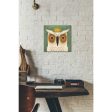 White Owl with Crown  by Ryan Fowler, Canvas Wall Art For Discount