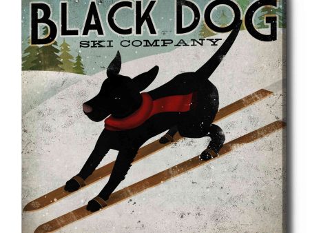 Black Dog Ski  by Ryan Fowler, Canvas Wall Art Cheap