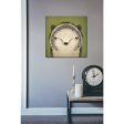 Baby Hedgehog  by Ryan Fowler, Canvas Wall Art Supply