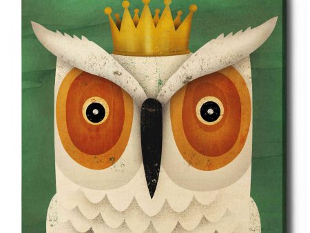 White Owl with Crown  by Ryan Fowler, Canvas Wall Art For Discount