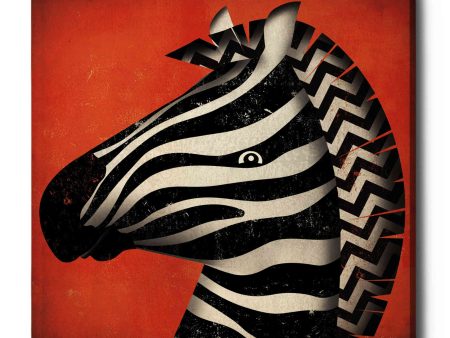 Zebra Wow  by Ryan Fowler, Canvas Wall Art Online Hot Sale