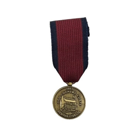 Medals and Ribbon Distinguished Service Bronze Online Hot Sale